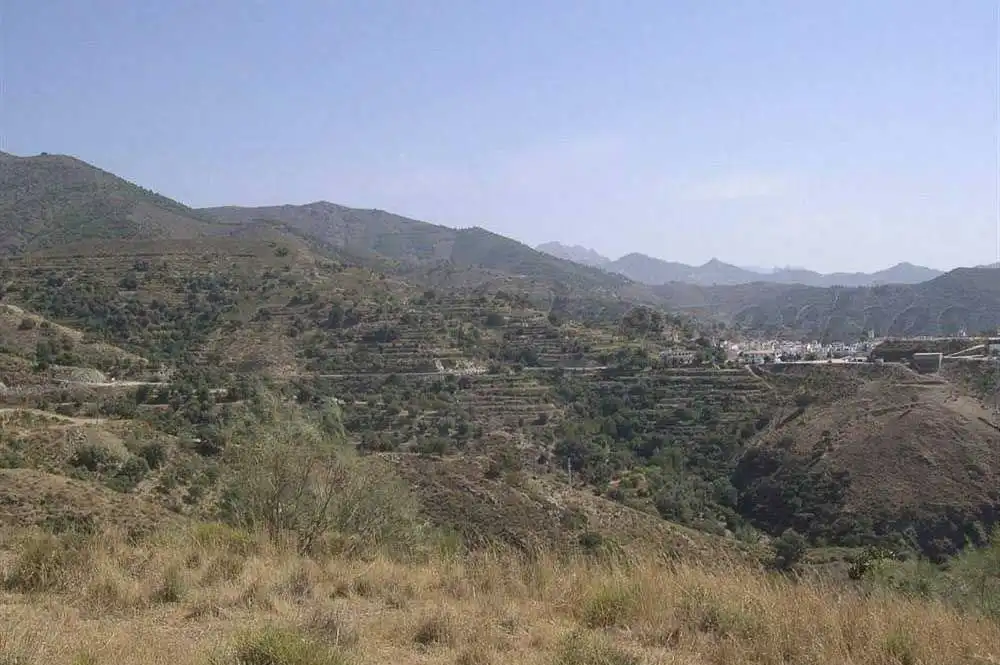 Terreno rústico en venta en Sedella, imagen 4