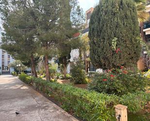 Jardí de Local de lloguer en  Palma de Mallorca amb Aire condicionat i Moblat