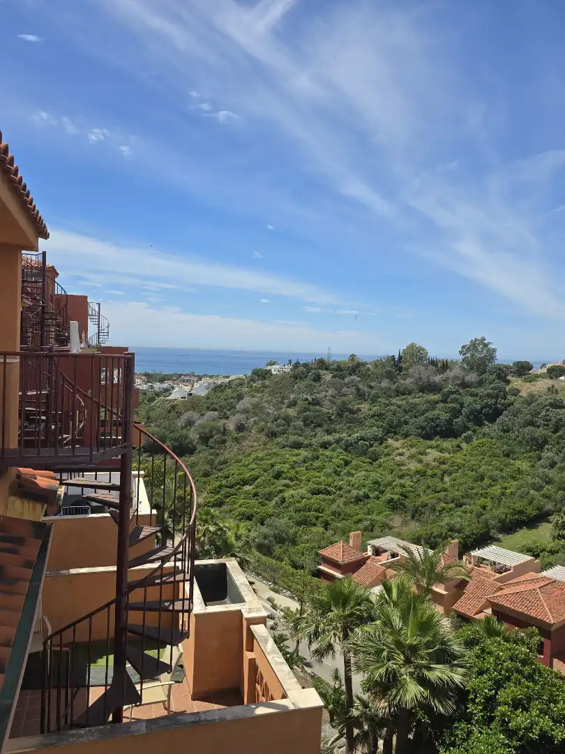 Vista exterior de Pis en venda en Marbella amb Terrassa, Traster i Piscina comunitària
