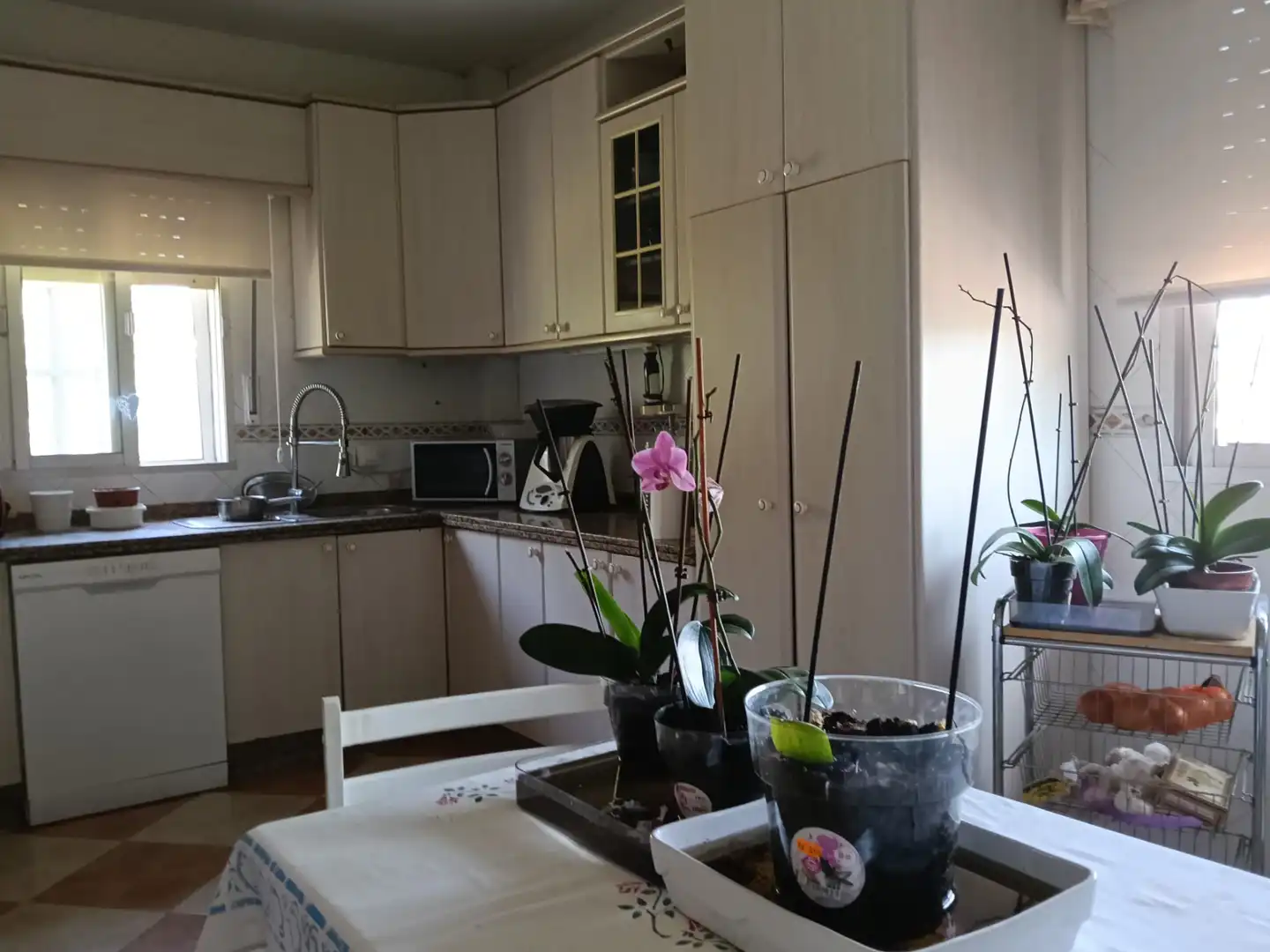 Xalet amb terrassa en venda a Urbanización San Marcos 2, imagen 26