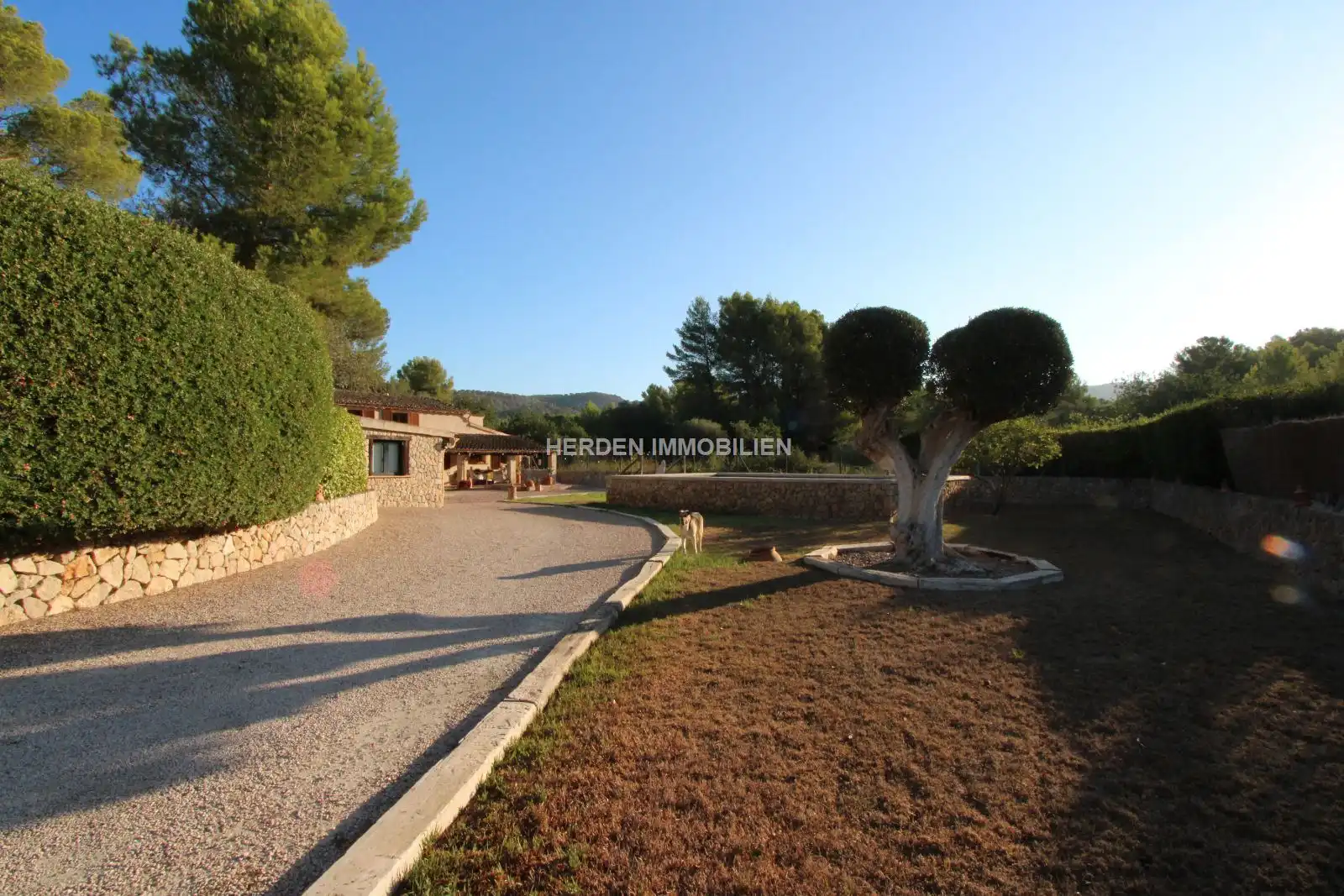 Jardín de Finca rústica en venta en Calvià con Aire acondicionado, Calefacción y Terraza