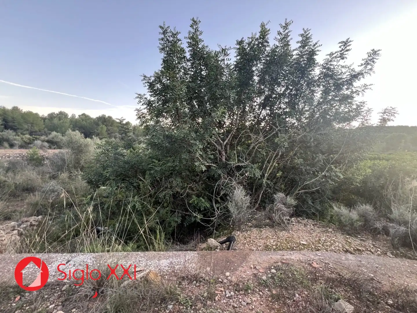 Terreni e lotti in vendita a La Vall d'Uixó, imagen 2