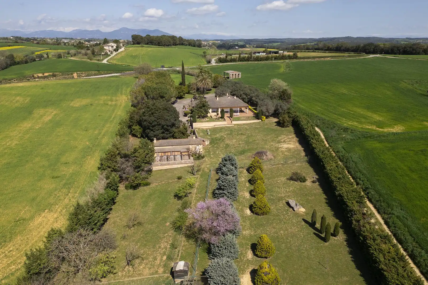 Chalet en venta en Carretera de Borgonyà
