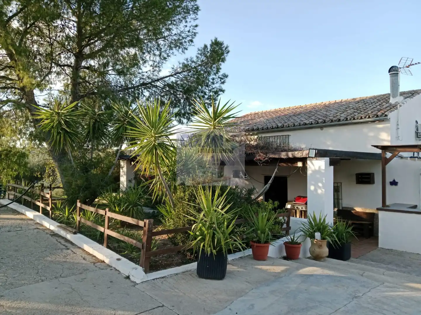 Terreni e lotti in vendita a Martos, imagen 7