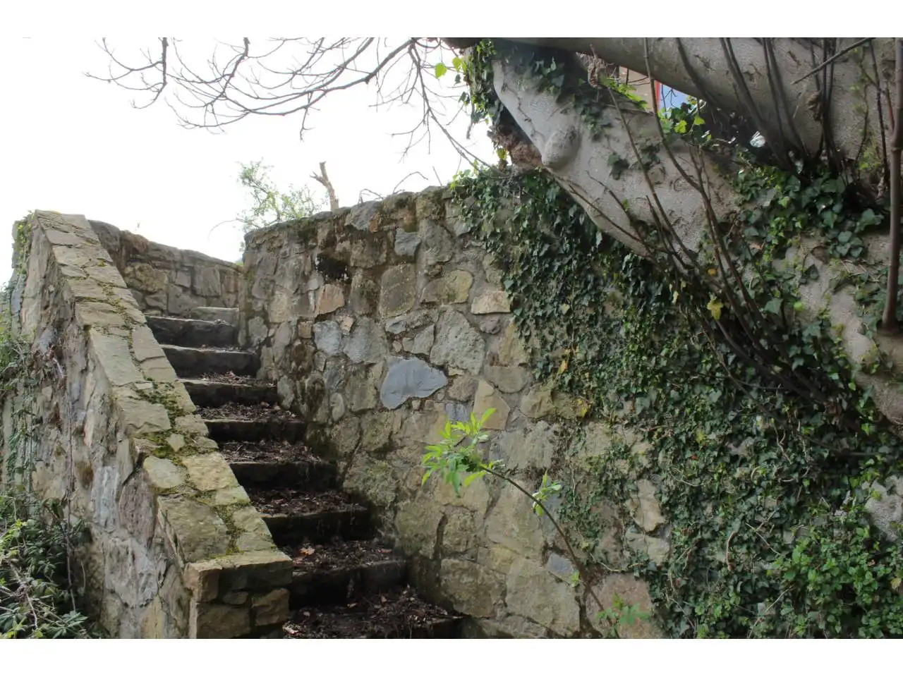 Jardí de Finca rústica en venda en Riudaura amb Calefacció