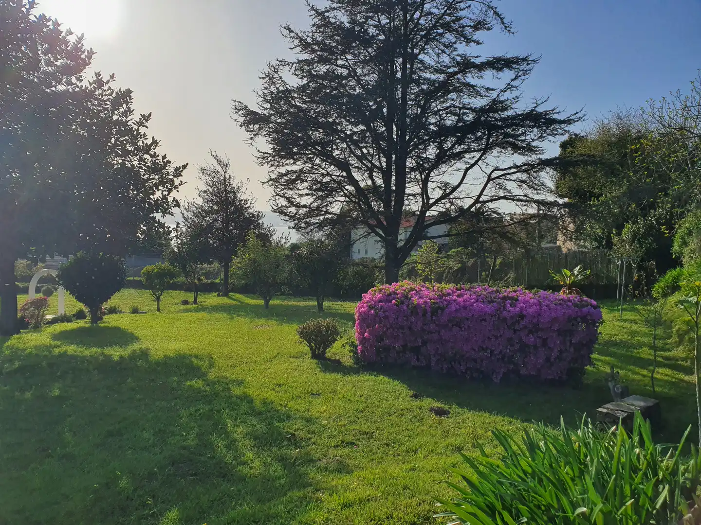 Jardí de Casa o xalet en venda en Oleiros amb Parquet, Terrassa i Traster