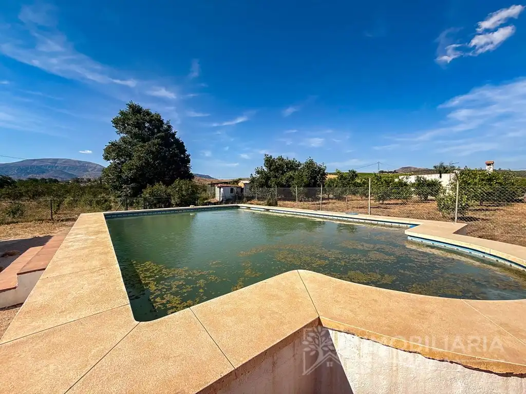 Casa rústica amb piscina en venda a Barrio Llanos Los, imagen 23