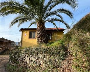 Vista exterior de Finca rústica en venda en Grado amb Jardí privat, Terrassa i Traster