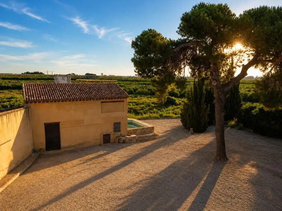 Vista exterior de Finca rústica en venta en Oliva
