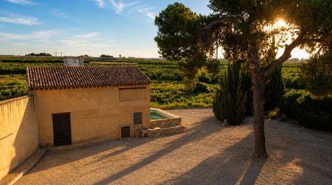 Foto 4 de Finca rústica en venta en Oliva pueblo, Oliva