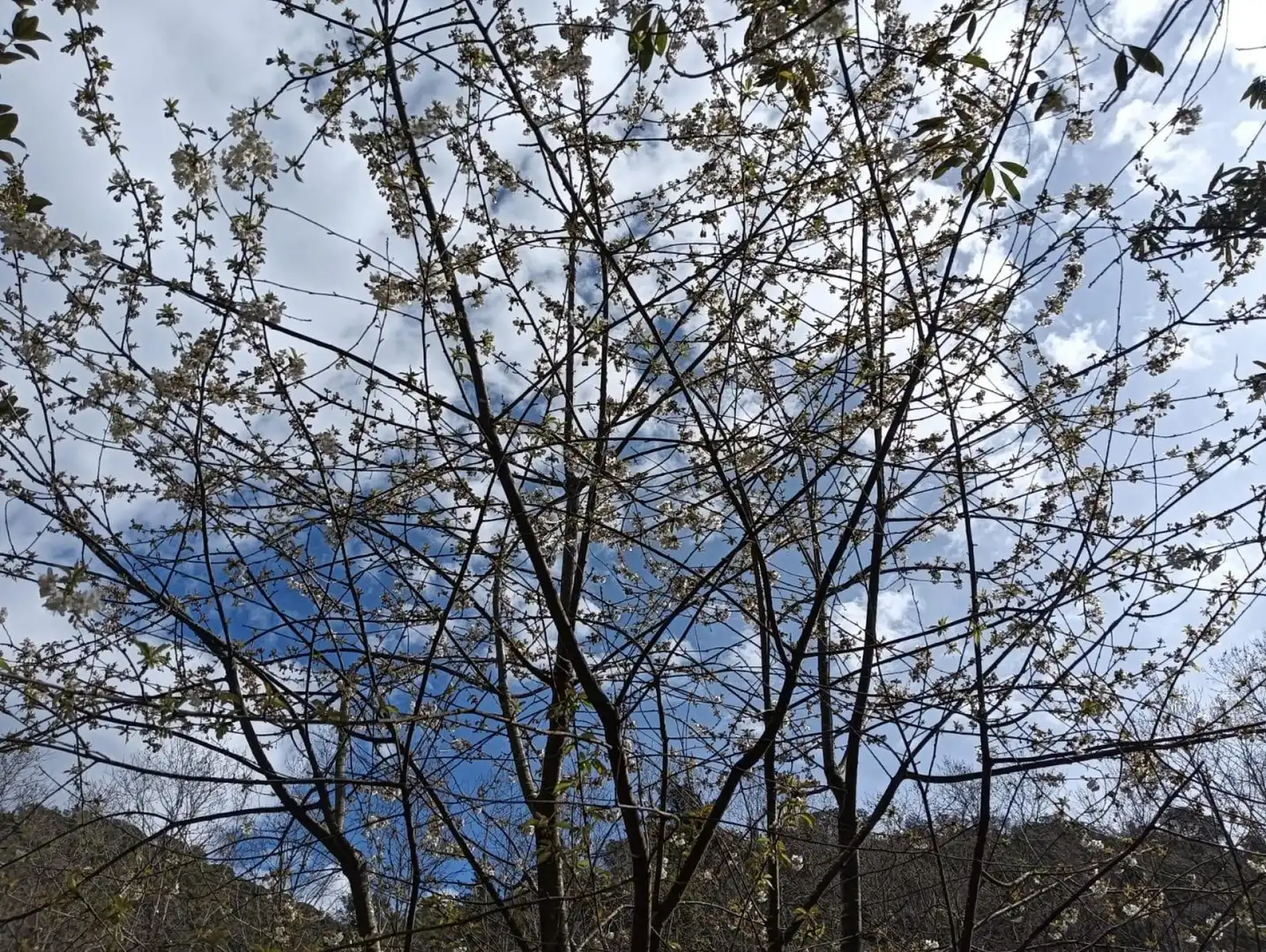 Finca rústica en venda a Vallgorguina