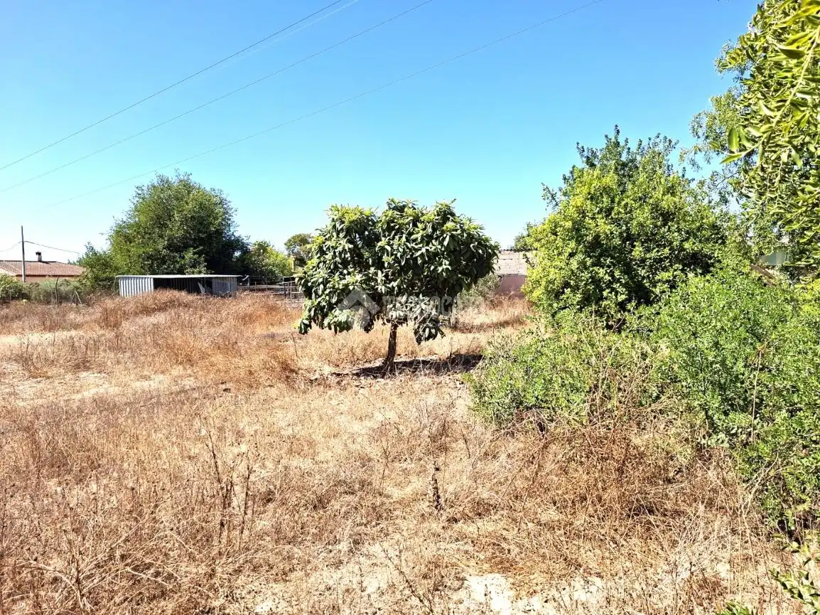 Finca rústica en venta en Almensilla con Trastero