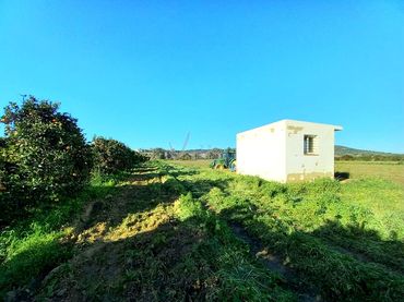 Terreno rústico en venta en San Enrique - Guadiaro -  Pueblo Nuevo