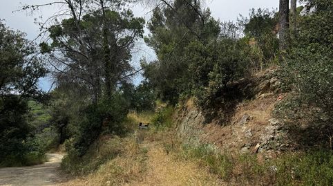 Foto 3 de Pis en venda a Paratge la Garjola, Castellví de Rosanes, Barcelona