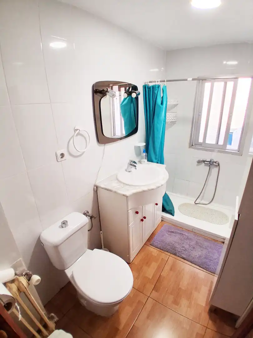 Bathroom of Flat for rent in Granada  with Furnished, Oven and Washing machine