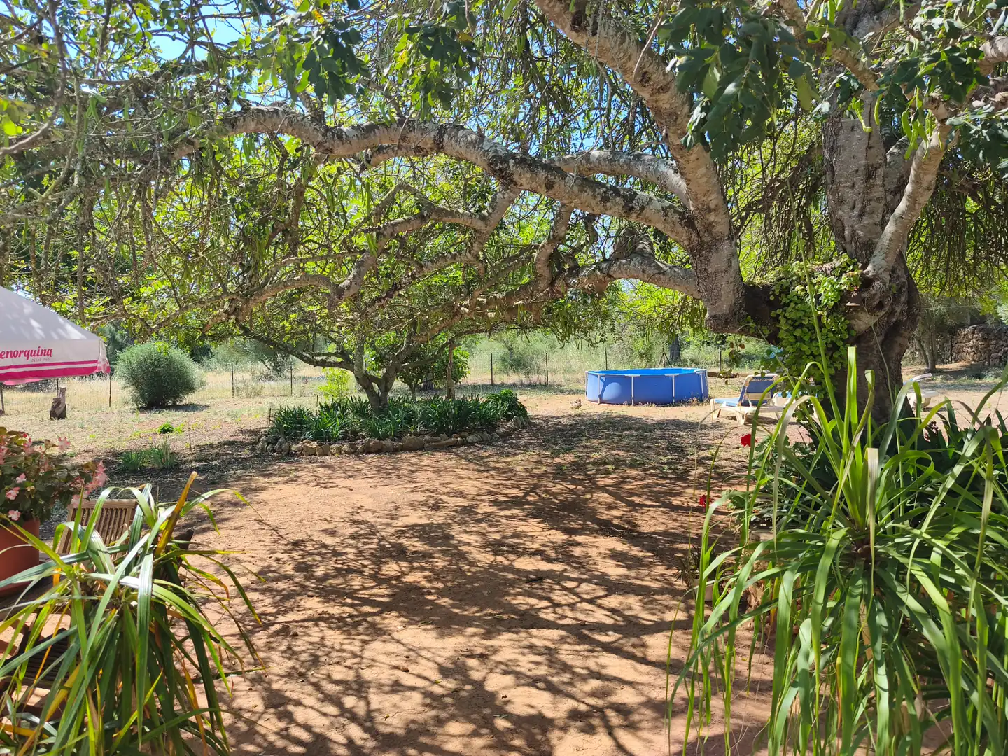 Villa mit Garten zum Verkauf in Algaida, imagen 14