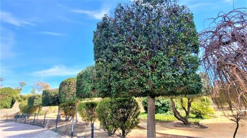 Foto 4 de Apartament de lloguer a Juzgados - Plaza de Toros, Benidorm