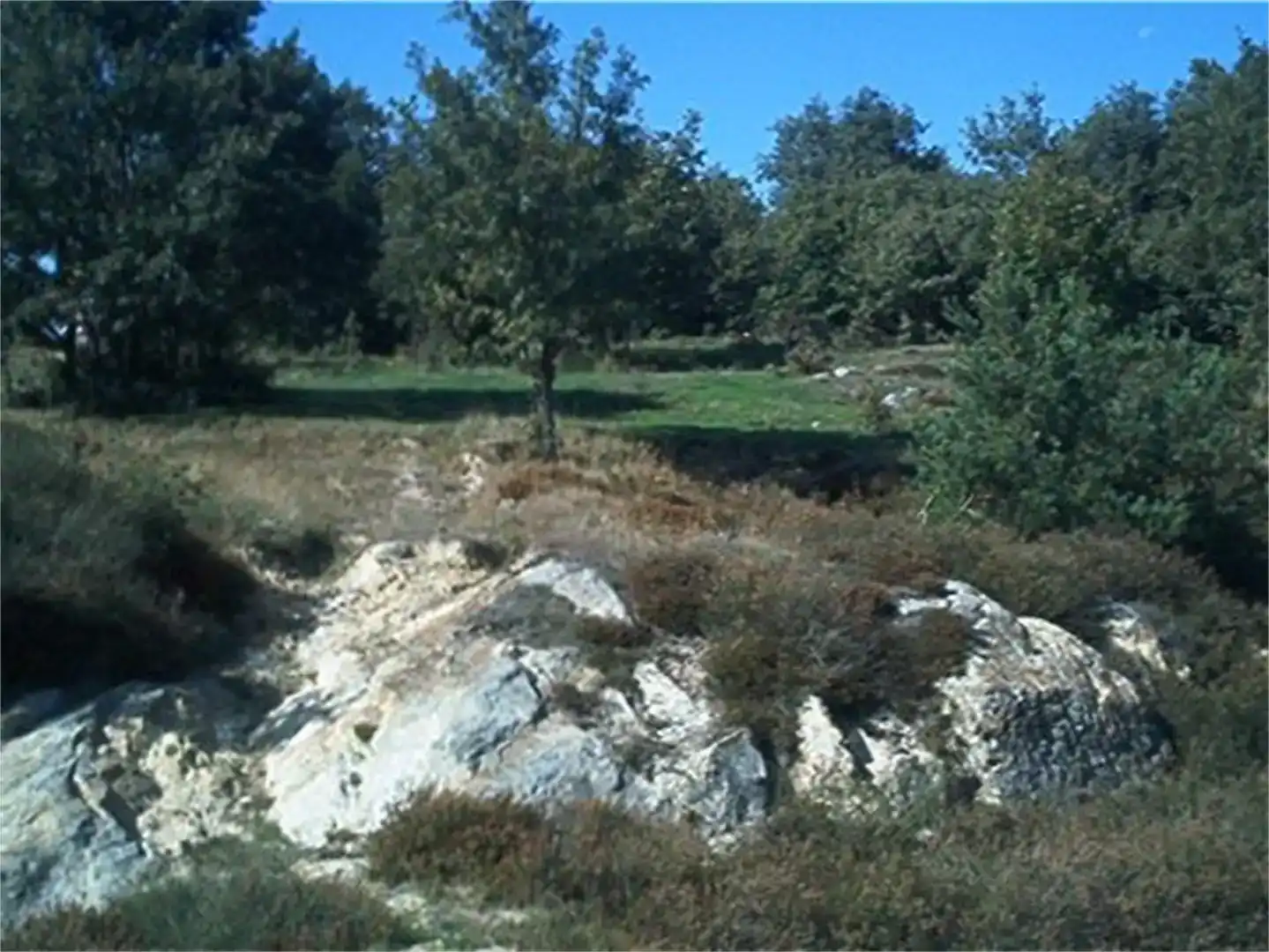 Land for sale in Valderredible