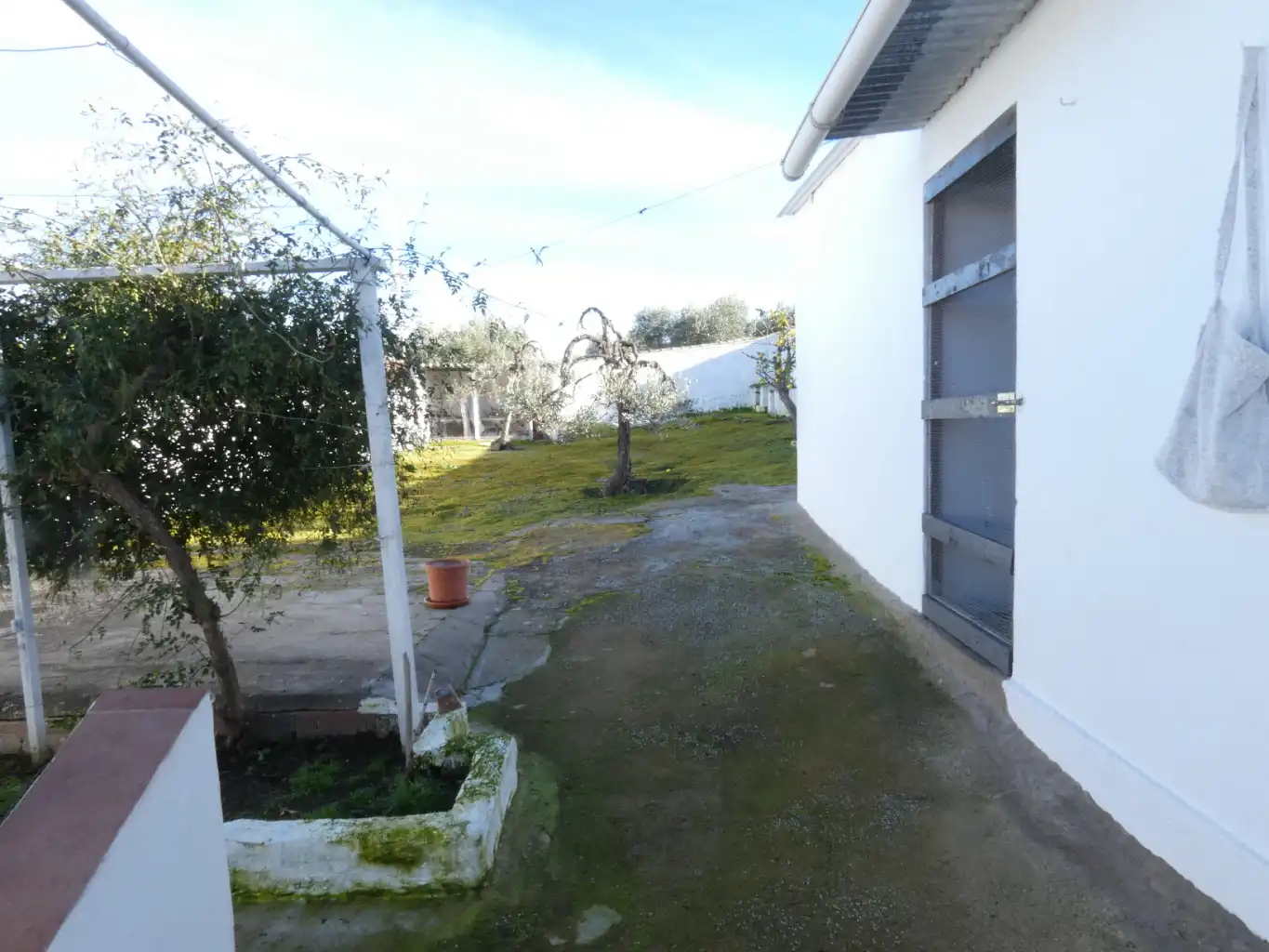 Maison à vendre à Azuaga, imagen 11