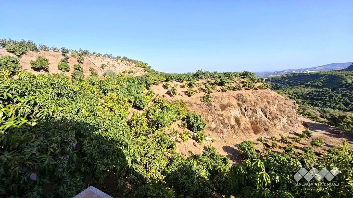 Terreno rústico en venta en Diseminado Atalaya Baja, imagen 10