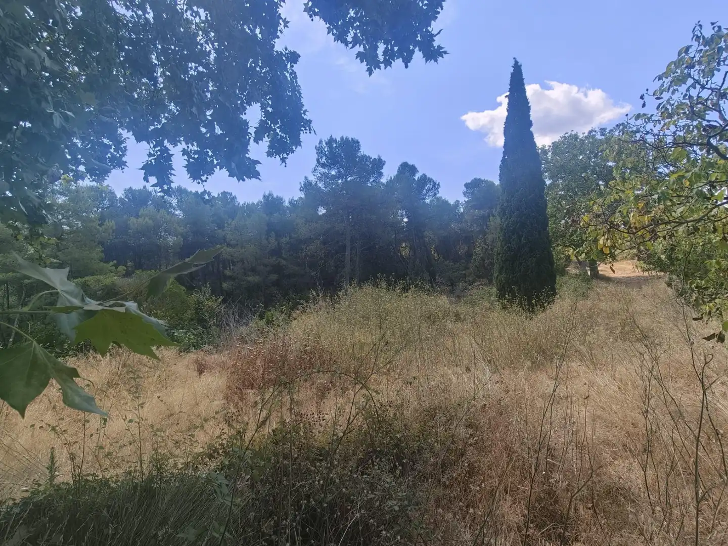Casa con piscina en venta en CAL PONS, imagen 70