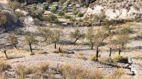 Photo 3 of Land for sale in Diseminado Nogalte, 58, Nogalte, Lorca