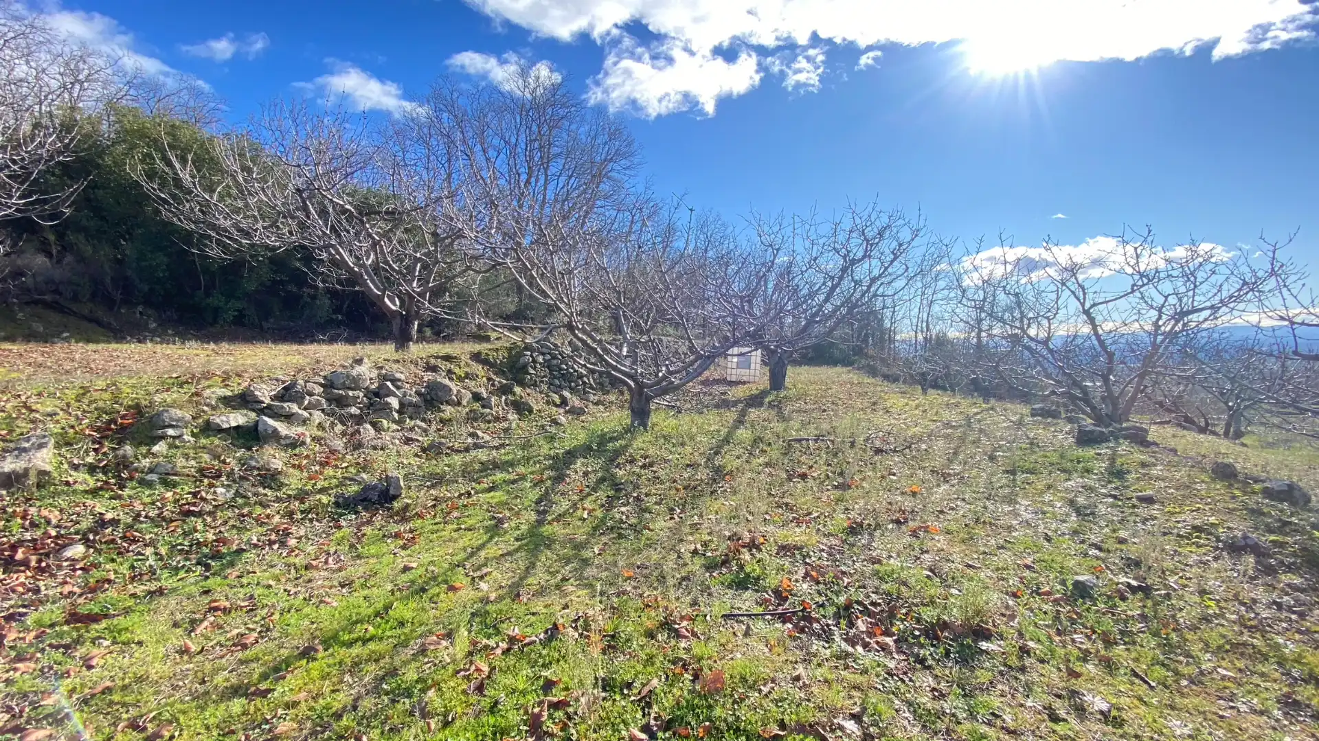 Terreni e lotti in vendita a Pasarón de la Vera, imagen 12