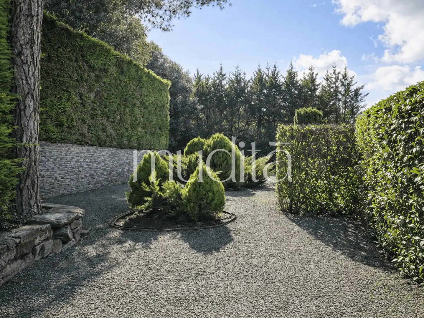 Jardín de Casa o chalet en venta en Seva con Calefacción, Jardín privado y Terraza