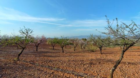 Photo 3 of Land for sale in Pulgara, Lorca