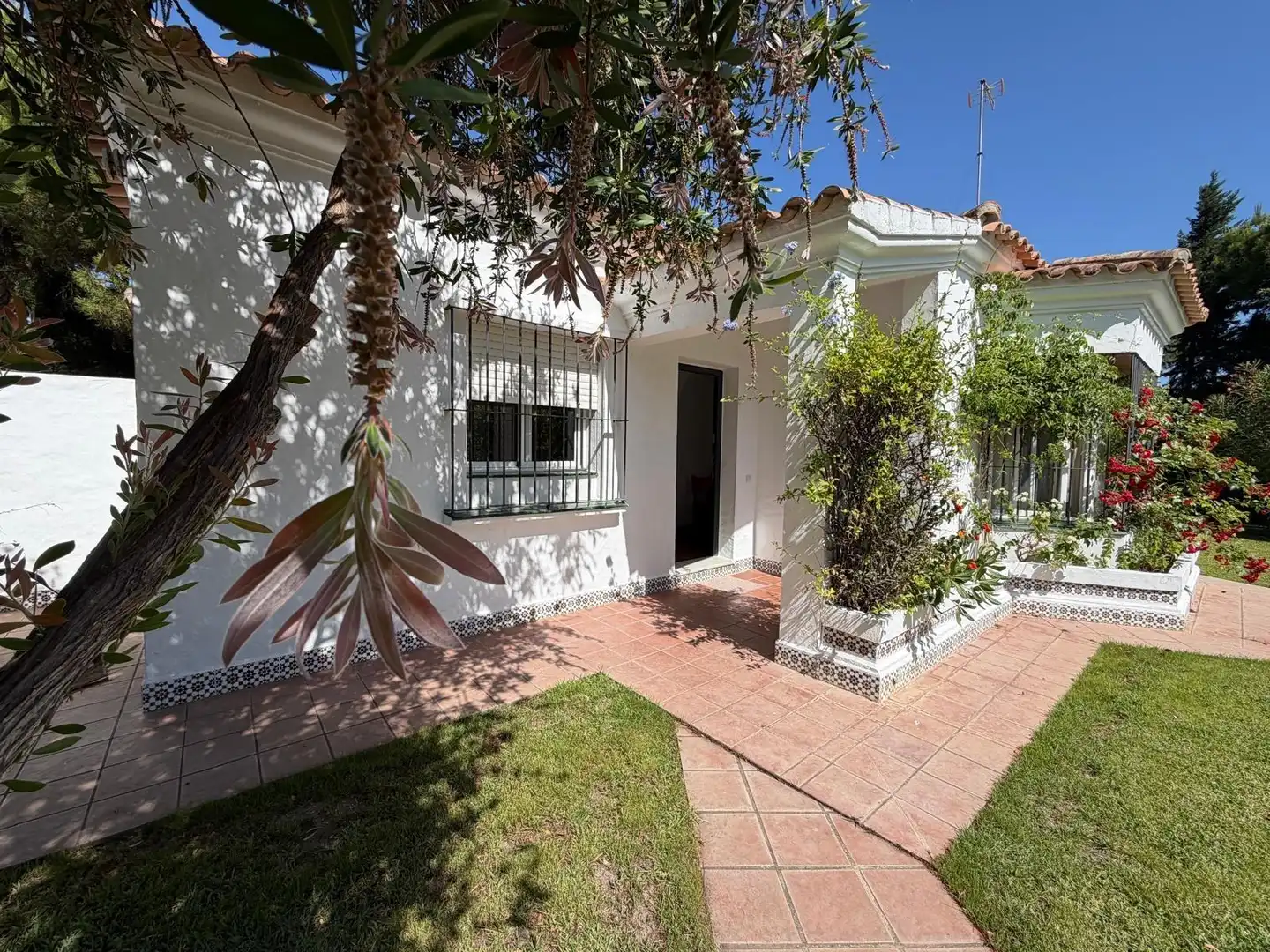 Exterior view of Houses for rent in Conil de la Frontera