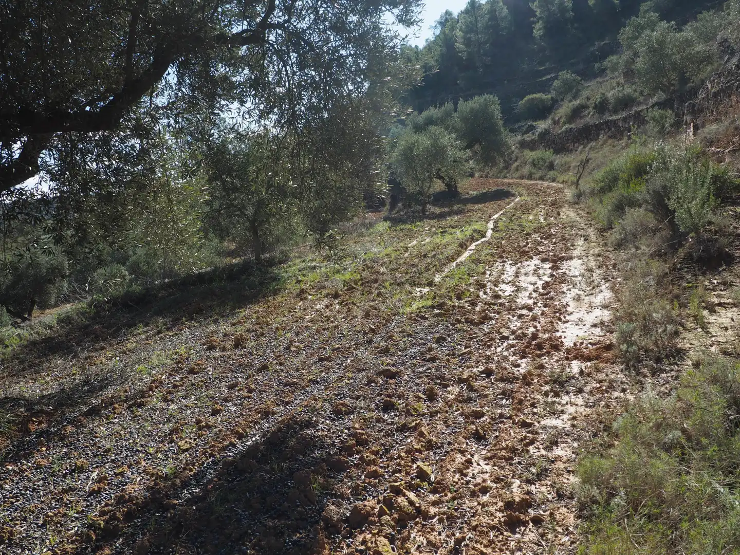 Rustikales Grundstück zum Verkauf in Carretera de Riba-roja, imagen 10