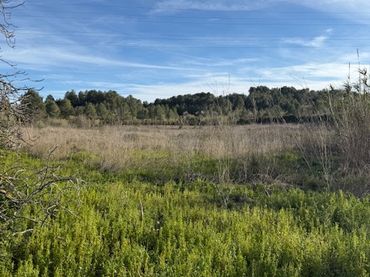 Terreno rústico en venta en Carretera de Tarragona a San Sebastián y Bilbao