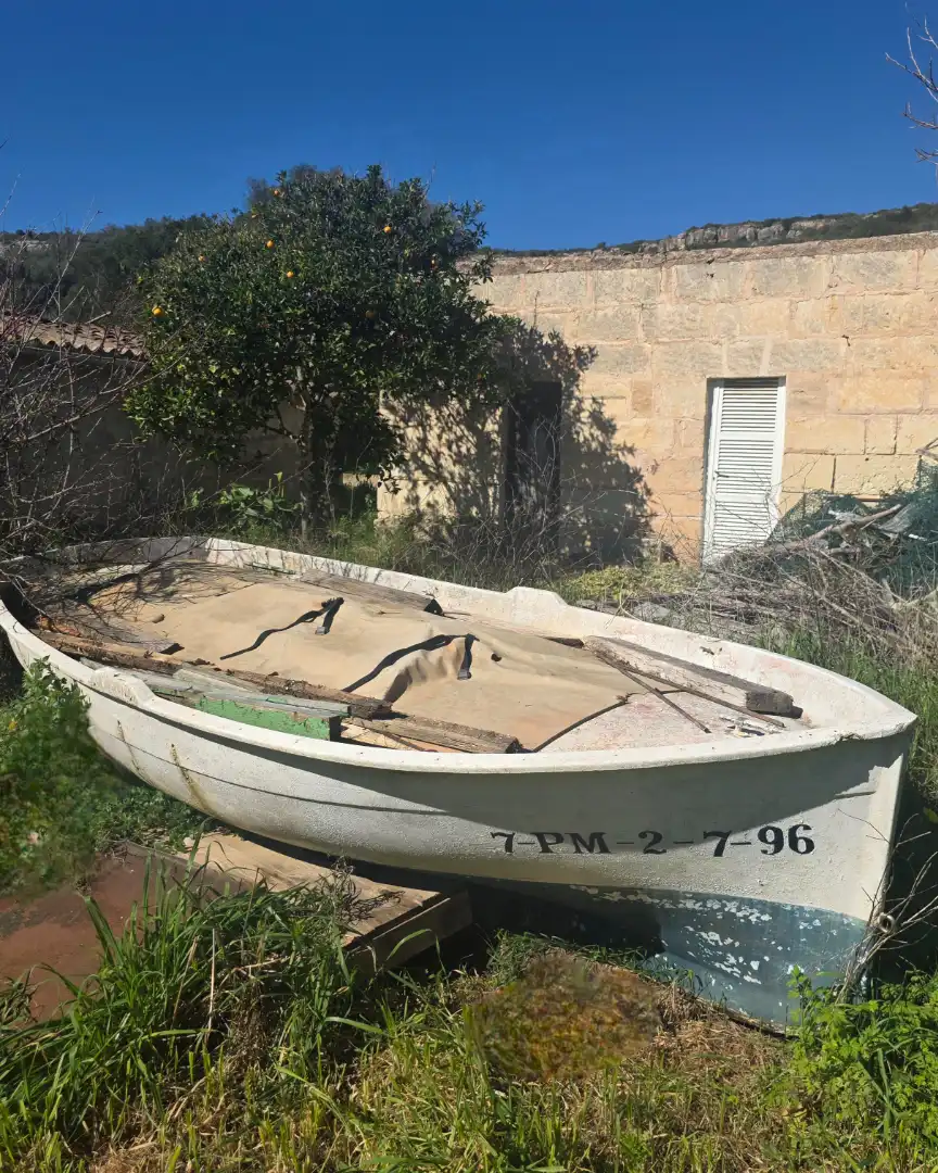 Garden of Land for sale in Manacor