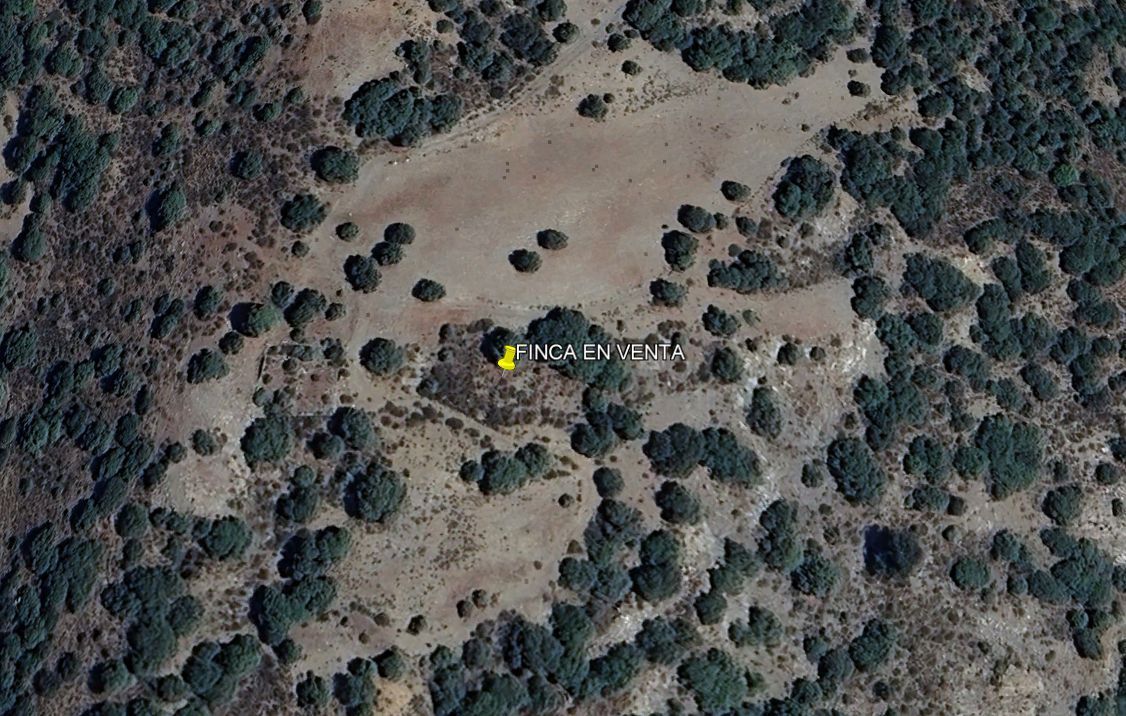 Land for sale in Bayárcal