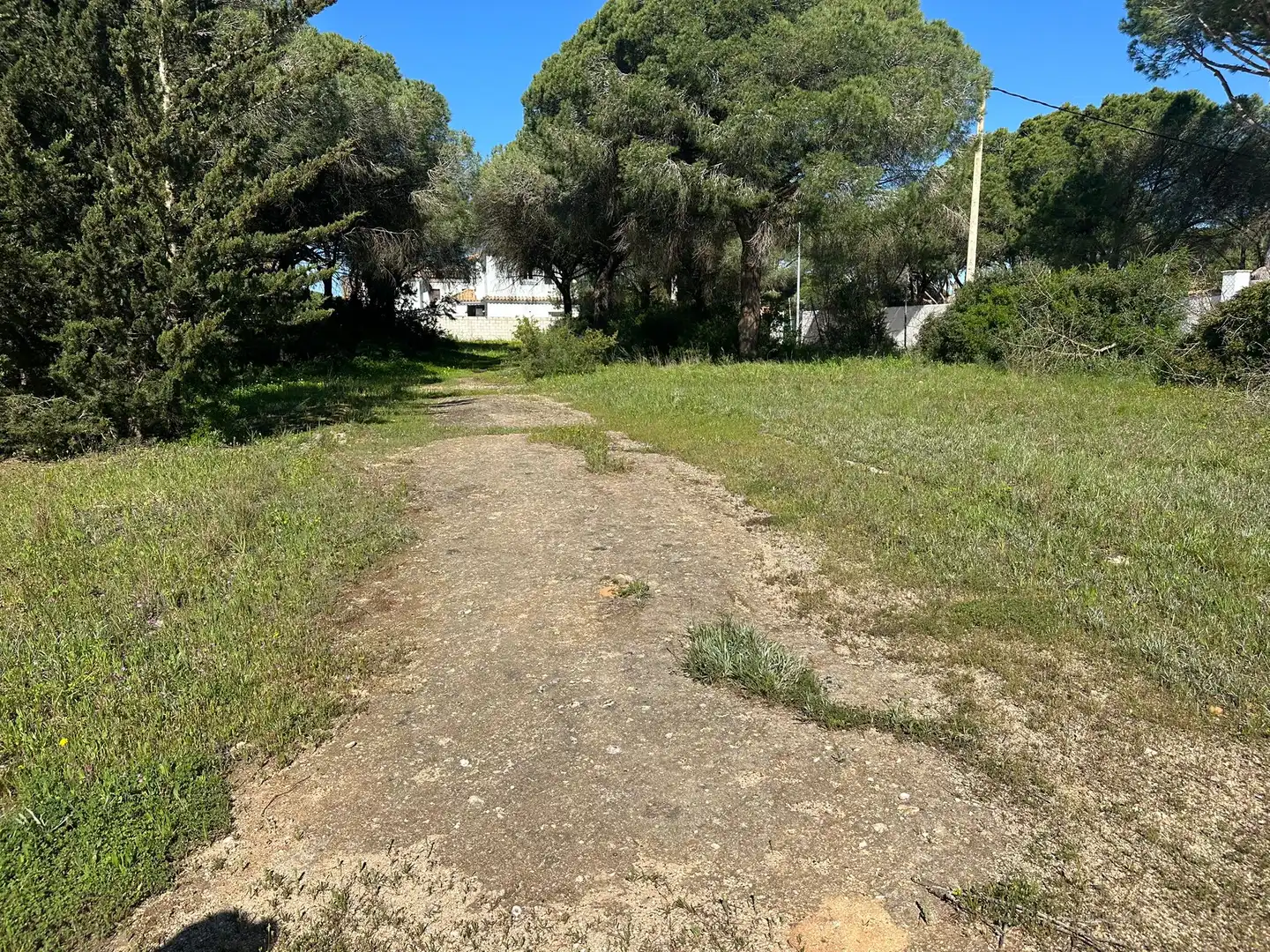 Rustikales Grundstück zum Verkauf in Las Lagunas - Campano, imagen 7