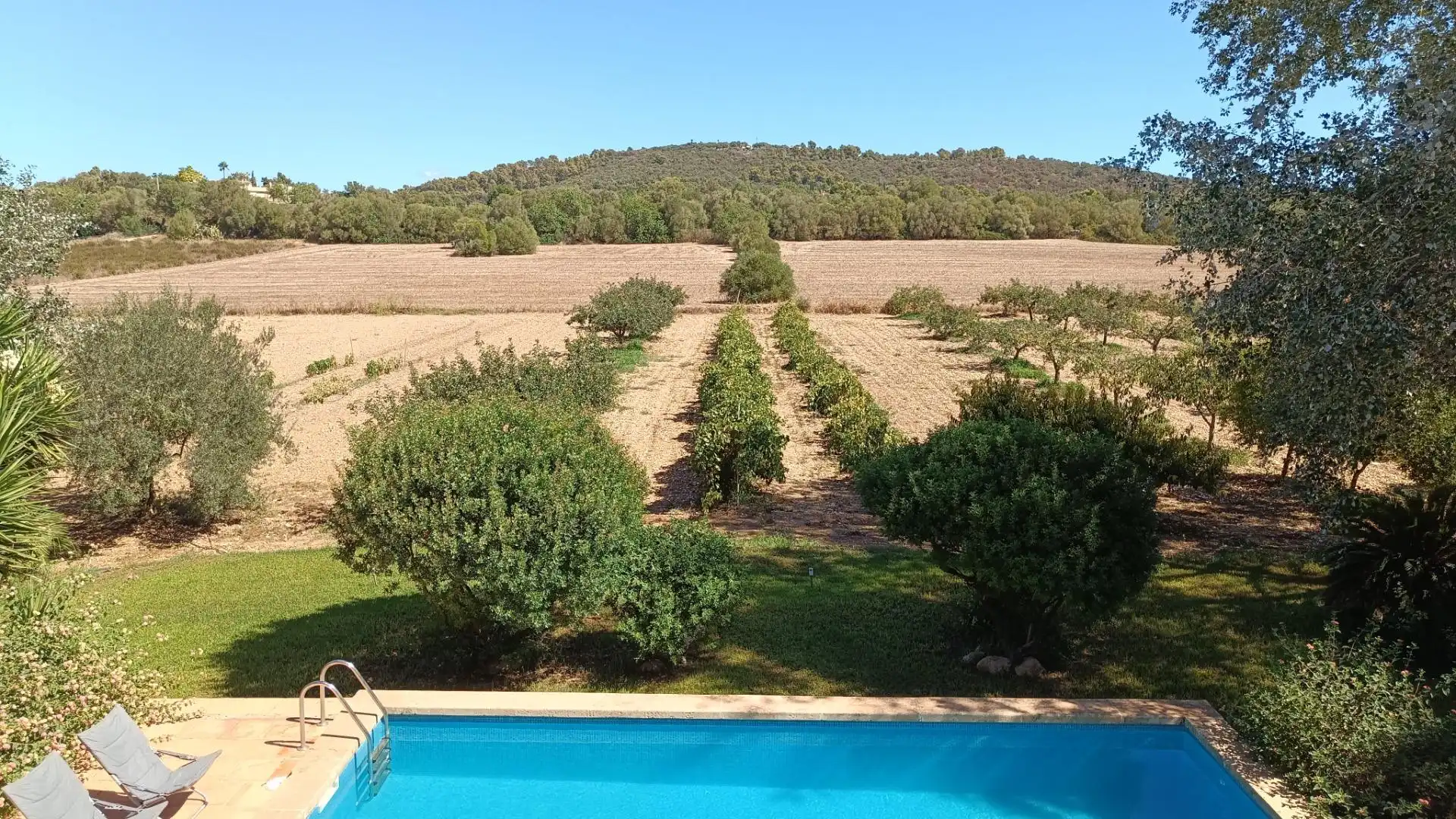 Casa rústica amb piscina en venda a Manacor Centre, imagen 41
