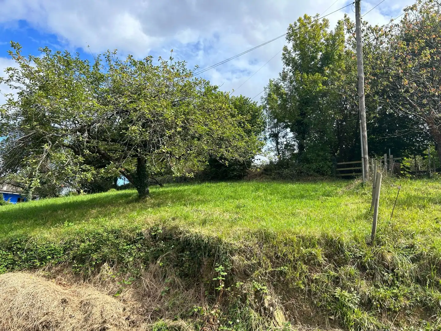 Terreno rústico en venta en Piloña, imagen 8