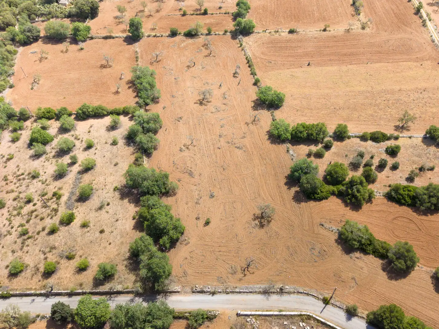 Lands and plots for sale in Felanitx Poble, imagen 4