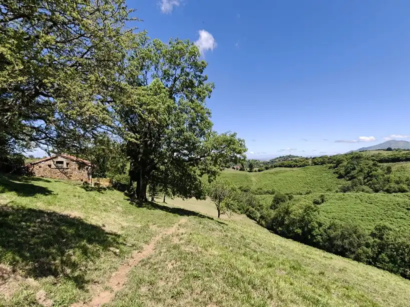 Terreno rustico in vendita a Proaza, imagen 26