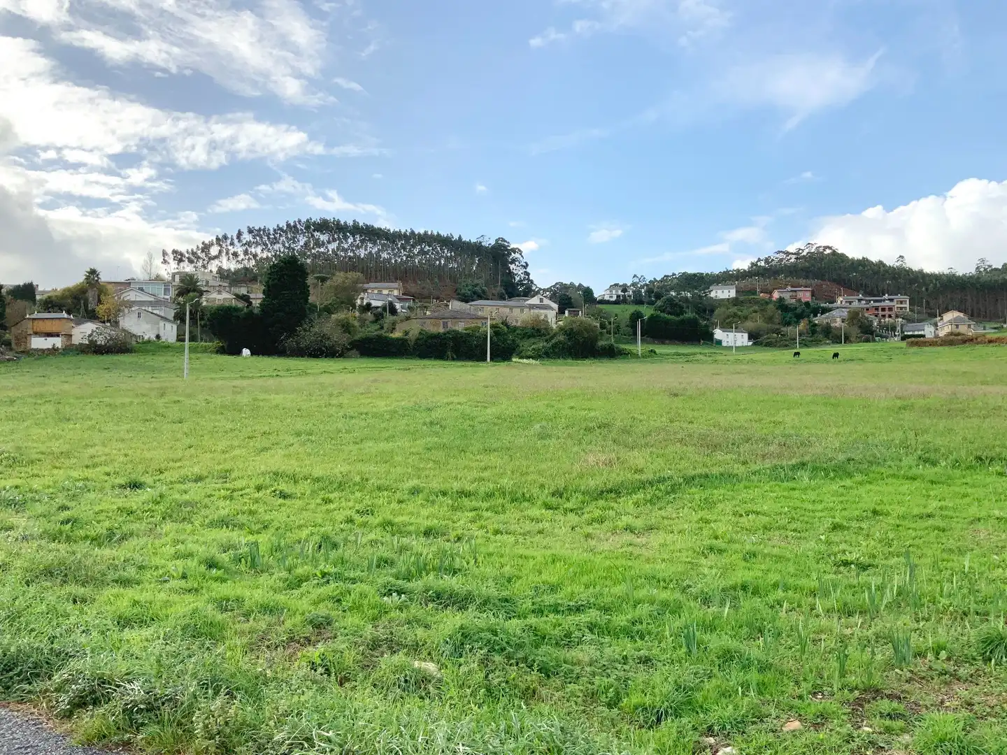 Terreni e lotti in vendita a Palmiz - San Martiño, imagen 10