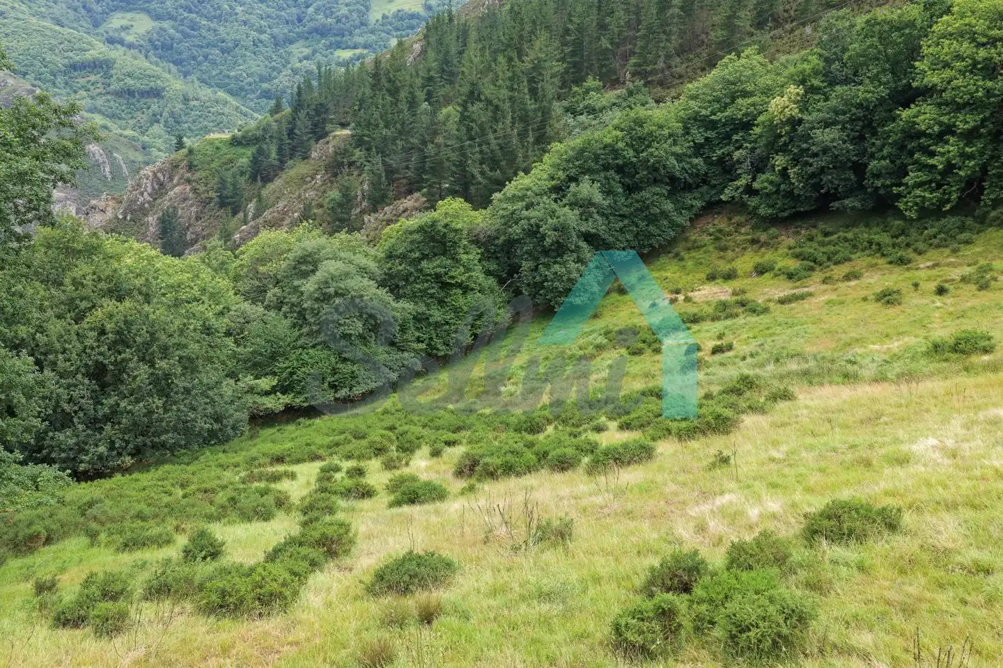 Land for sale in Proaza