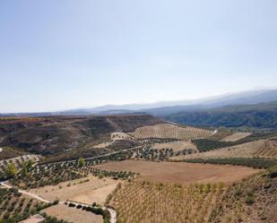 Vista exterior de Finca rústica en venda en La Peza amb Jardí privat, Terrassa i Traster