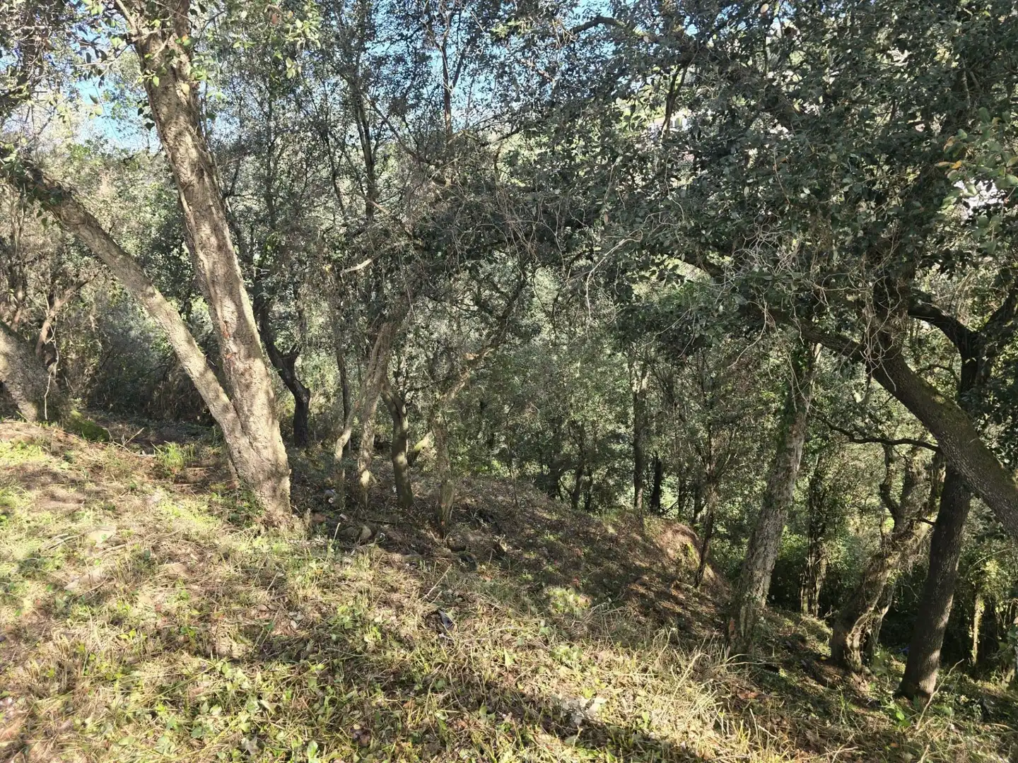 Residential land for sale in del Garrofer 7, imagen 4