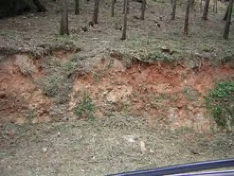 Residential land for sale in Piera, imagen 3