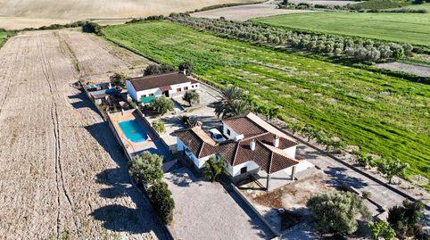 Foto 4 de Finca rústica en venta en Lugar Parrilla Alta, 32, Arcos de la Frontera, Cádiz