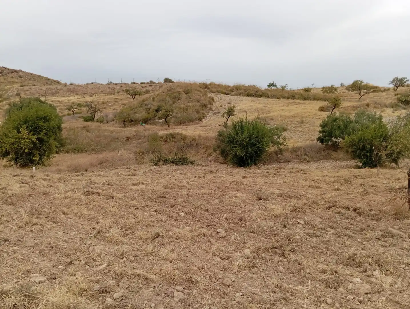 Terreni e lotti in vendita a Bolnuevo, imagen 8