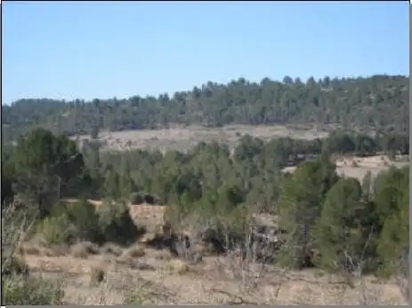 Rural land for sale in Ptda Casa Lázaro, imagen 8
