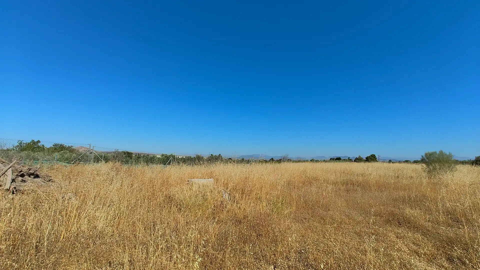Terreno rustico in vendita a Aljancira, imagen 16