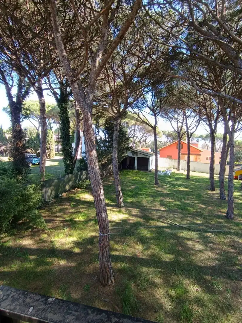 Casa con terraza en venta en Carrer Carrer Montnegre, imagen 5