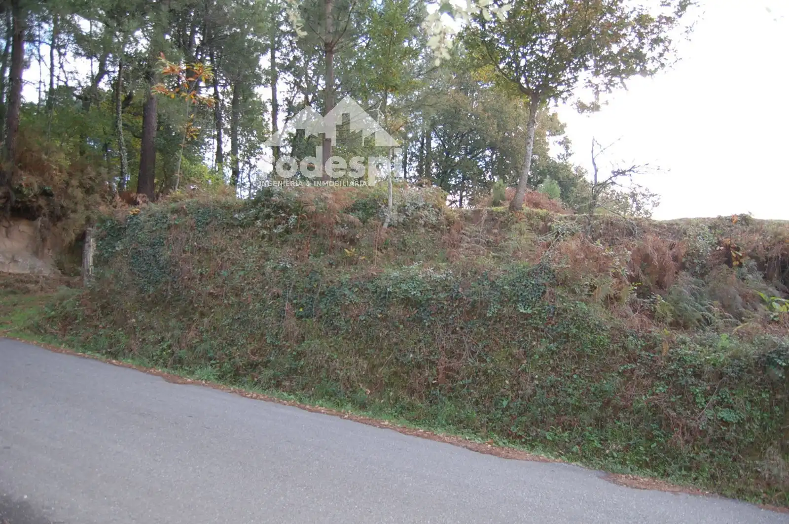 Terrain rustique à vendre à As Neves, imagen 6